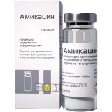 Купить амикацин, порошок для приготовления раствора для внутривенного и внутримышечного введения 1г, флакон в Арзамасе