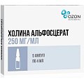 Купить холина альфосцерат, раствор для внутривенного и внутримышечного введения 250мг/мл, ампулы 4мл, 5 шт в Арзамасе