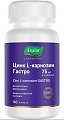 Купить цинк l-карнозин гастро, капсулы 60 шт бад в Арзамасе