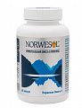 Купить норвесол омега 3, капсулы 500мг 60 шт. бад в Арзамасе