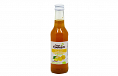 Купить сироп имбирный на фруктозе с лимоном доктор нутришин, флакон 250мл бад в Арзамасе