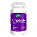 Купить холин 350мг, таблетки массой 1200мг 60 шт бад в Арзамасе