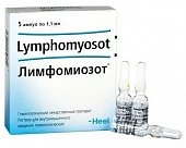 Купить лимфомиозот, раствор для внутримышечного введения гомеопатический 1,1мл, 5шт в Арзамасе