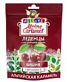 Купить alpine caramel (альпийская карамель) леденцы детские вишня с медом и витамином с , 75г бад в Арзамасе