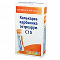 Купить калькареа карбоника остреарум с15, гомеопатический монокомпонентный препарат животного происхождения, гранулы гомеопатические 4 гр в Арзамасе