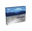Купить мумие, таблетки, 30 шт бад в Арзамасе