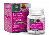 Купить эхинацея пурпурная с витаминами с и е экстракт вис, капсулы массой 350мг, 30 шт бад в Арзамасе