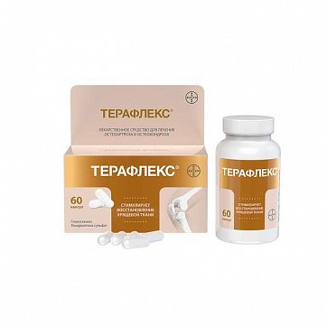 Терафлекс, капсулы 500мг+400мг, 60 шт Терафлекс, капсулы 500мг+400мг, 60 шт