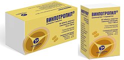 Купить винпотропил, таблетки, покрытые пленочной оболочкой 10мг+800мг, 60 шт в Арзамасе