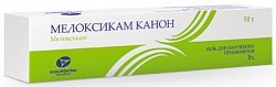 Купить мелоксикам-канон, гель для наружного применения, 1%, туба 50г в Арзамасе