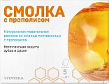 Купить витатека (vitateka) смолка жевательная лиственничная с прополисом, 5 шт  в Арзамасе