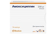 Купить амоксициллин, капсулы 250мг, 16 шт в Арзамасе