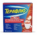 Купить терафлю экстра, порошок для приготовления раствора для приема внутрь, яблоко и корица, пакетики 15г, 10 шт в Арзамасе