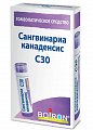 Купить сангвинариа канаденсис с30, гомеопатический монокомпонентный препарат растительного происхождения, гранулы гомеопатические 4 гр  в Арзамасе