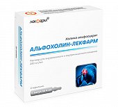 Купить альфохолин-лекфарм, раствор для внутривенного и внутримышечного введения 250мг/мл, ампулы 4мл, 5 шт  в Арзамасе