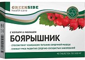 Купить green side (грин сайд) боярышник с калием и магнием, таблетки  40 шт. бад в Арзамасе