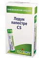 Купить ледум палюстре с5, гомеопатический монокомпонентный препарат растительного происхождения, гранулы гомеопатические 4г в Арзамасе