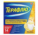 Купить терафлю от гриппа и простуды, порошок для приготовления раствора для приема внутрь, лимонный, пакетики 22,1г, 14 шт в Арзамасе