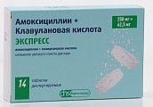 Купить амоксициллин+клавулановая кислота экспресс, таблетки диспергируемые 250мг+62,5мг, 14 шт в Арзамасе