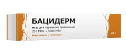 Купить бацидерм, мазь для наружного применения 250 ме/г+5000 ме/г, 20г  в Арзамасе