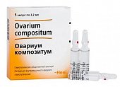 Купить овариум композитум, раствор для внутримышечного введения гомеопатический 2,2мл, ампулы 5шт в Арзамасе