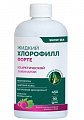 Купить snow sea хлорофилл форте жидкий со вкусом малины и мяты, 450 мл бад в Арзамасе