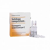 Купить солидаго композитум с, раствор для внутримышечного введения гомеопатический 2,2мл, ампулы 5шт в Арзамасе