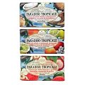 Купить nesti dante (нести данте) набор мыла: тропический рай 250г х3шт в Арзамасе