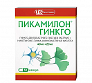 Купить пикамилон гинкго, капсулы 40мг+20мг, 50 шт в Арзамасе