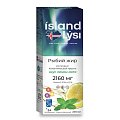 Купить lysi (лиси) рыбий жир со вкусом лимона и мяты, флакон 240мл бад в Арзамасе