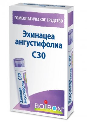Купить эхинацеа ангустифолиа с30, гомеопатический монокомпонентный препарат растительного происхождения, гранулы гомеопатические 4 гр в Арзамасе