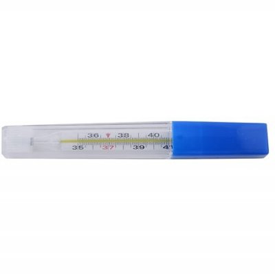Купить термометр медицинский ртутный максимальный стеклянный в Арзамасе