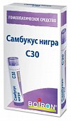 Купить самбукус нигра с30, гомеопатический монокомпонентный препарат растительного происхождения, гранулы гомеопатические 4 гр в Арзамасе