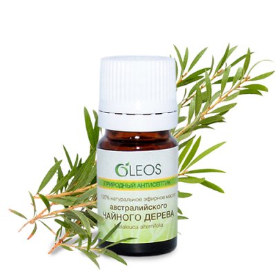 Купить oleos (олеос) природный антисептик косметическое масло австралийского чайного дерева, 5мл в Арзамасе